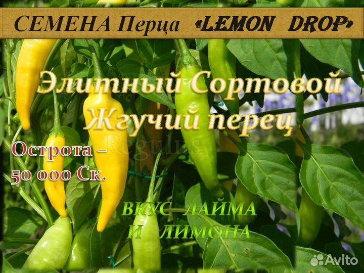 Семена Сортового Острого перца 15 сортов