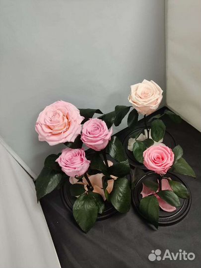 Роза в колбе оптом