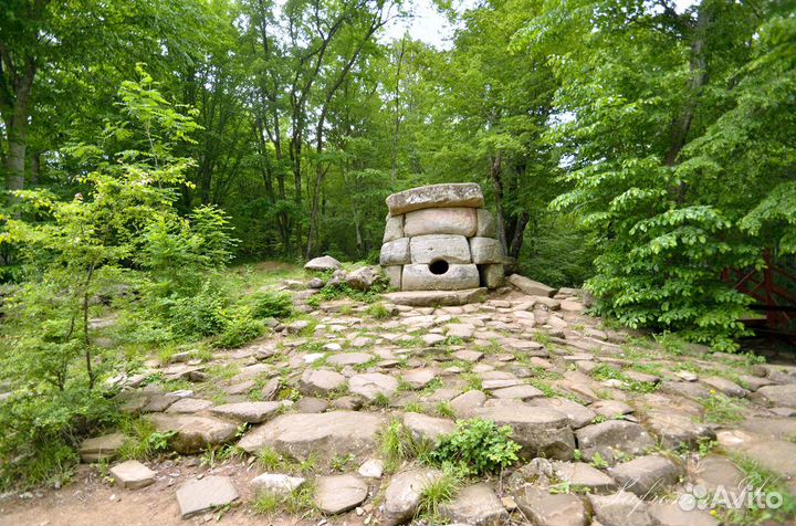 Аренда Tamron SP AF 10-24mm f3.5-4.5 Di II LD