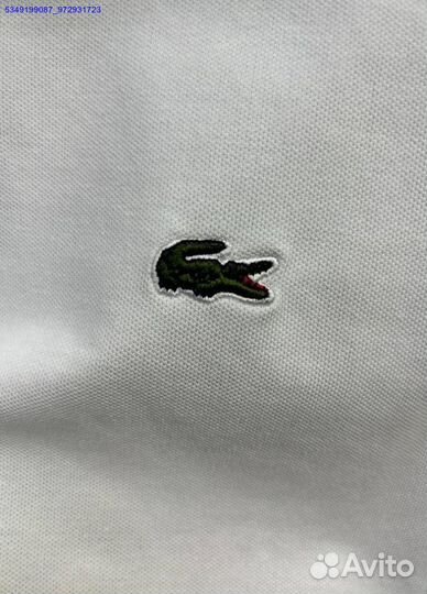 Поло Lacoste