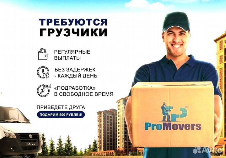 Грузчики халтура. Требуется грузчик объявление. Грузчики оплата ежедневно. Грузчики ежедневная оплата. Подработка оплата в день.