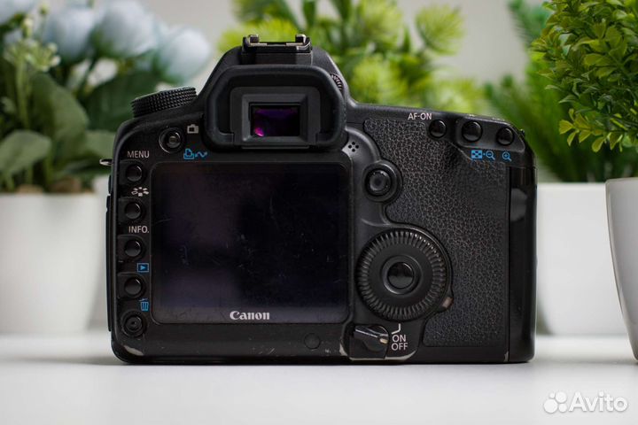 Canon 5D Mark II