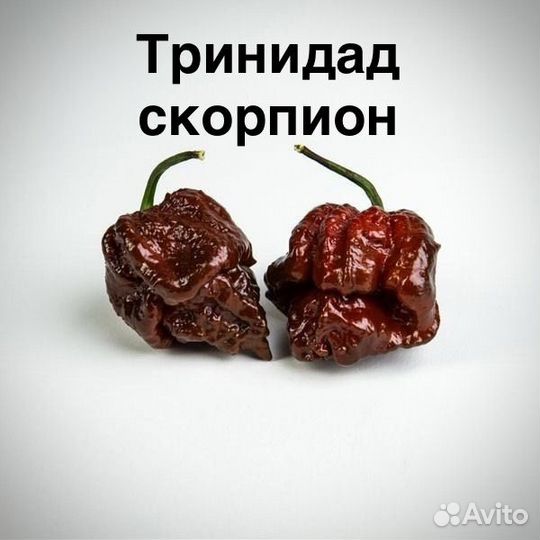 Тринидад скорпион и другие сорта