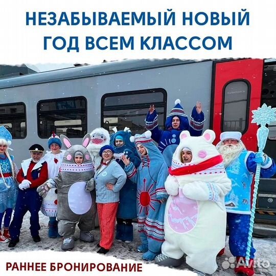 Билеты на новогодний поезд с дедом морозом шоу