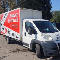 FIAT Ducato промтоварный, 2013