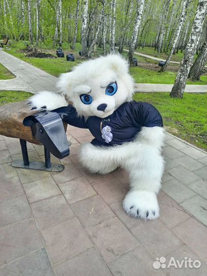 Белый Мишка Ростовая кукла, поздравление, аниматор