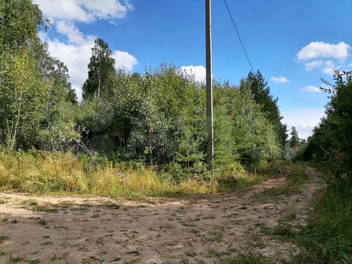 Участок 12 сот. (СНТ, ДНП)