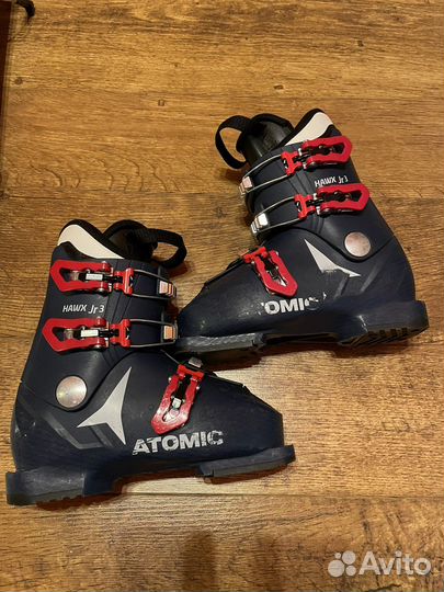 Горные лыжи