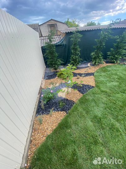 Рулонный газон с укладкой