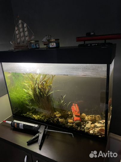 Аквариум