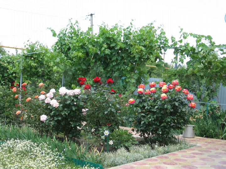 Комната 70 м² в 1-к., 2/2 эт.