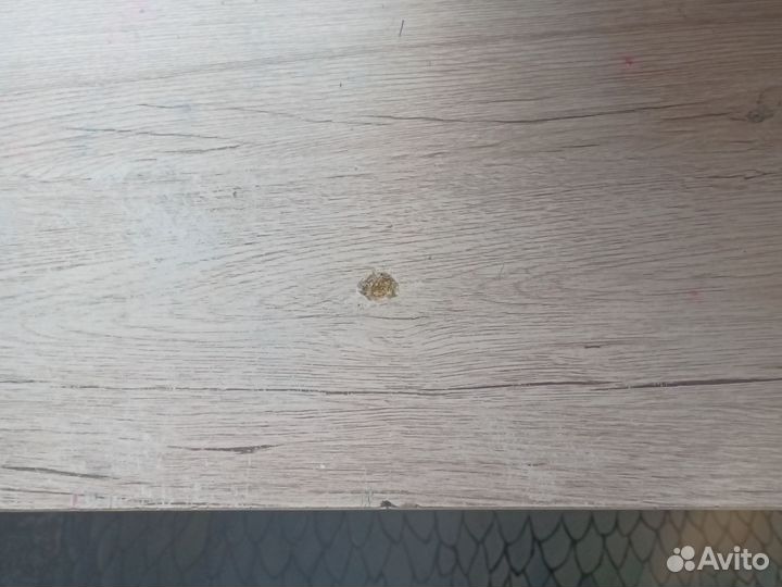 Письменный стол для школьника