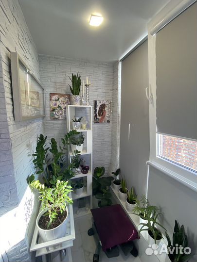 Остекление балконов и лоджий Дмитров