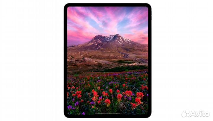 Apple iPad Pro 13 2024 2TB Wi-Fi + LTE Silver