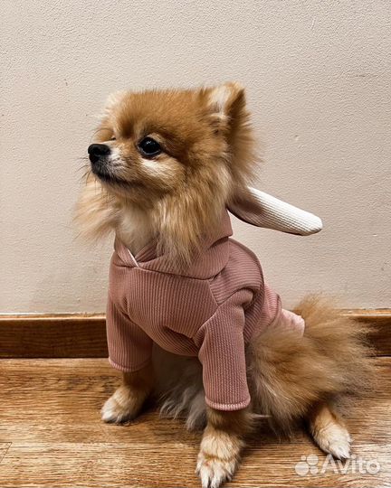 Дождевик кофта толстовка