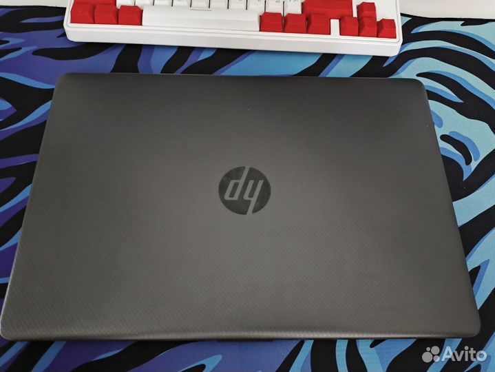 Hp 250 g8