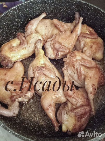 Мясо перепелов свежее, вяленое