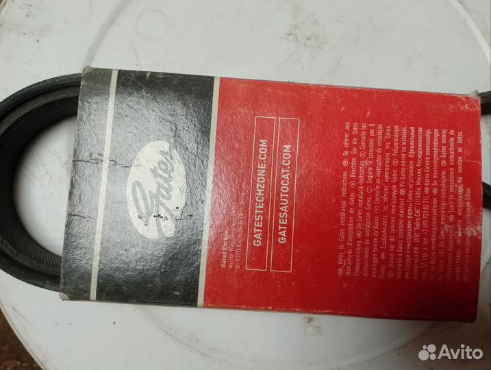 Ремень грм ford focus 2 1.6