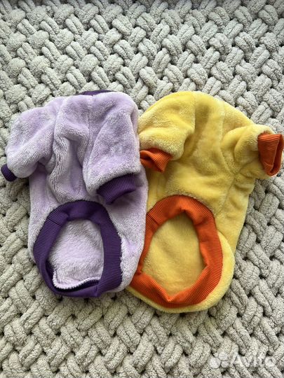 Одежда для собак