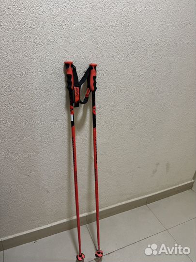 Горнолыжные палки