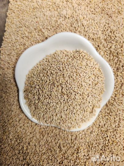 Малина семена