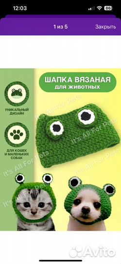 Одежда для животных