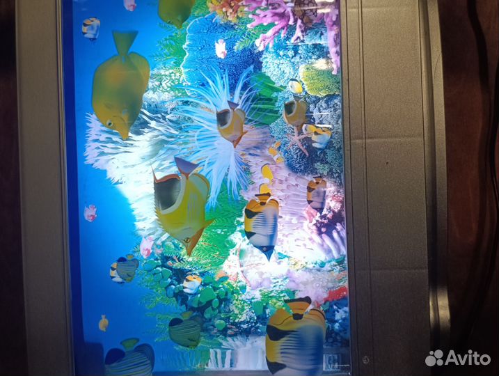 Настольный светильник рыбки