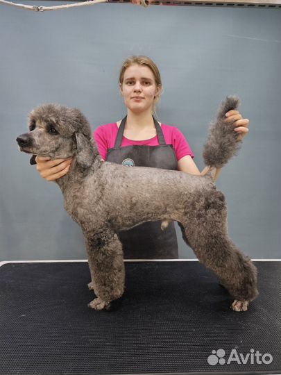 Груминг собак