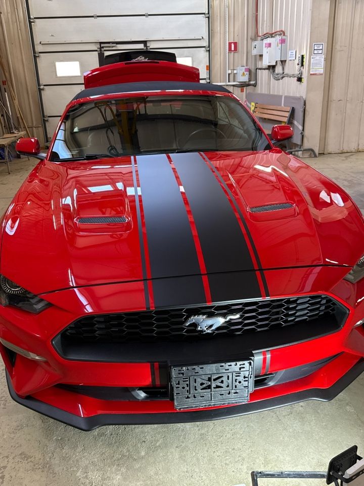 Ford Mustang: фото владельца