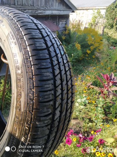 Dunlop All Season Maxx AS1 205/60 R15