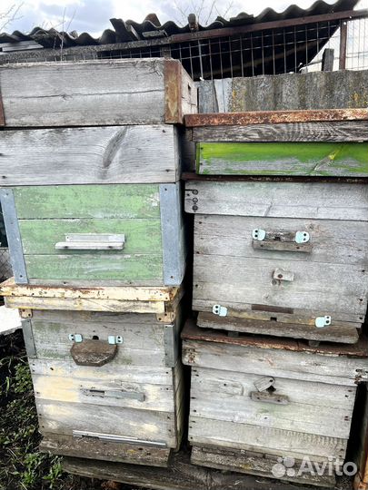 Ульи для пчел