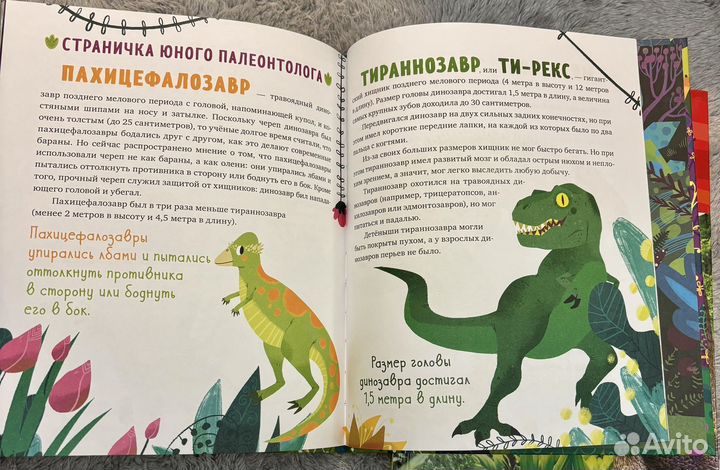 Детские книги про динозавров