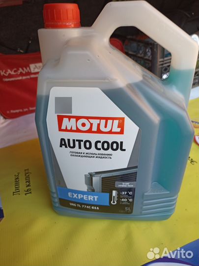 Антифриз Motul g 11