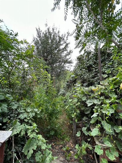 Дом 61,6 м² на участке 5,8 сот.