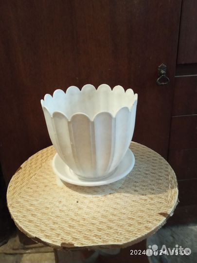 Продам спатифиллум