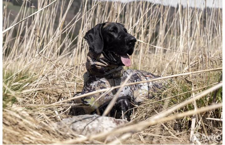 Blaser dog poncho