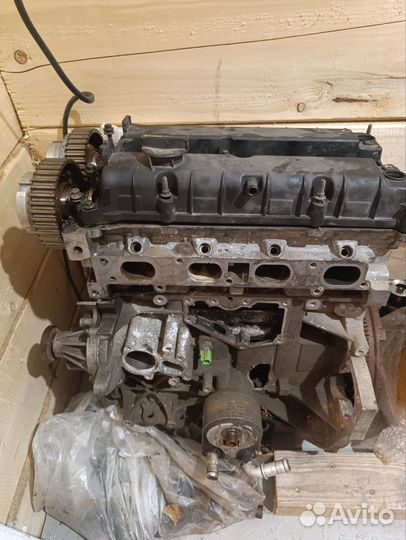 Двигатель ford focus 3 1.6 105 л с