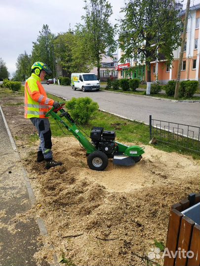 Камешковский р-н. Спилить дерево.Опиловка деревьев