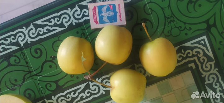 Яблоки оптом