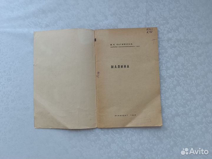 Ю.К. Катинская Малина 1968 год