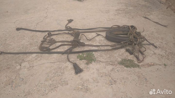 Упряжь для лошади