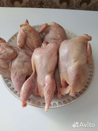 Перепелинное мясо