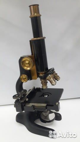 Микроскоп Bausch Lomb USA Аренда