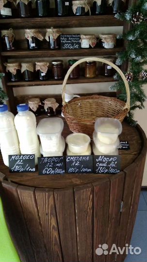 Помошник в молочный цех с опытом работы