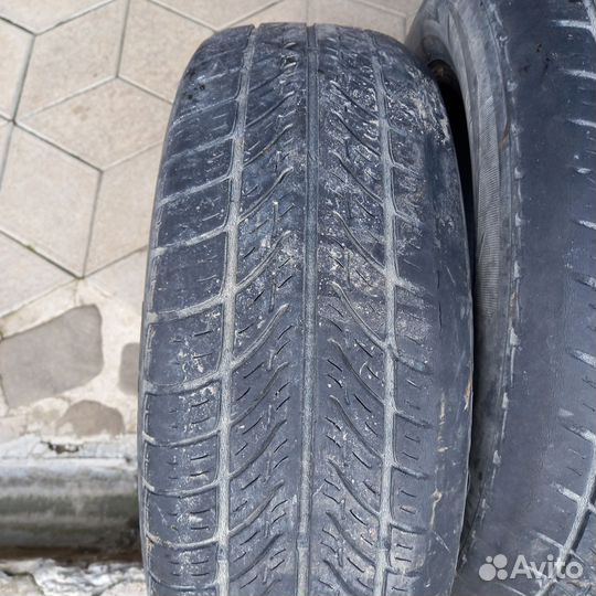 Tigar Sigura 175/65 R14