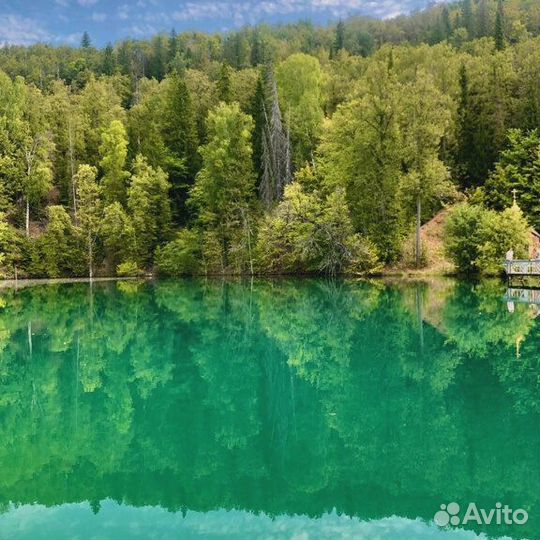 Тур из Уфы в Святые Кустики и на источник Башкирия