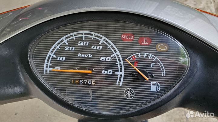 Jog SA36