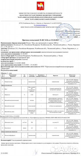 Мёд Гречишный, монофлерный - полезный, см отзывы