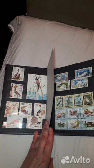 Альбом с марками СССР