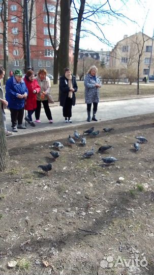 Пансионат для пожилых